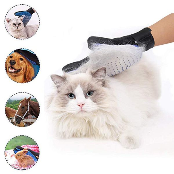 Pet glovesPet gloves Cat glovesNew dog suppliesPet bathin, china factory best price